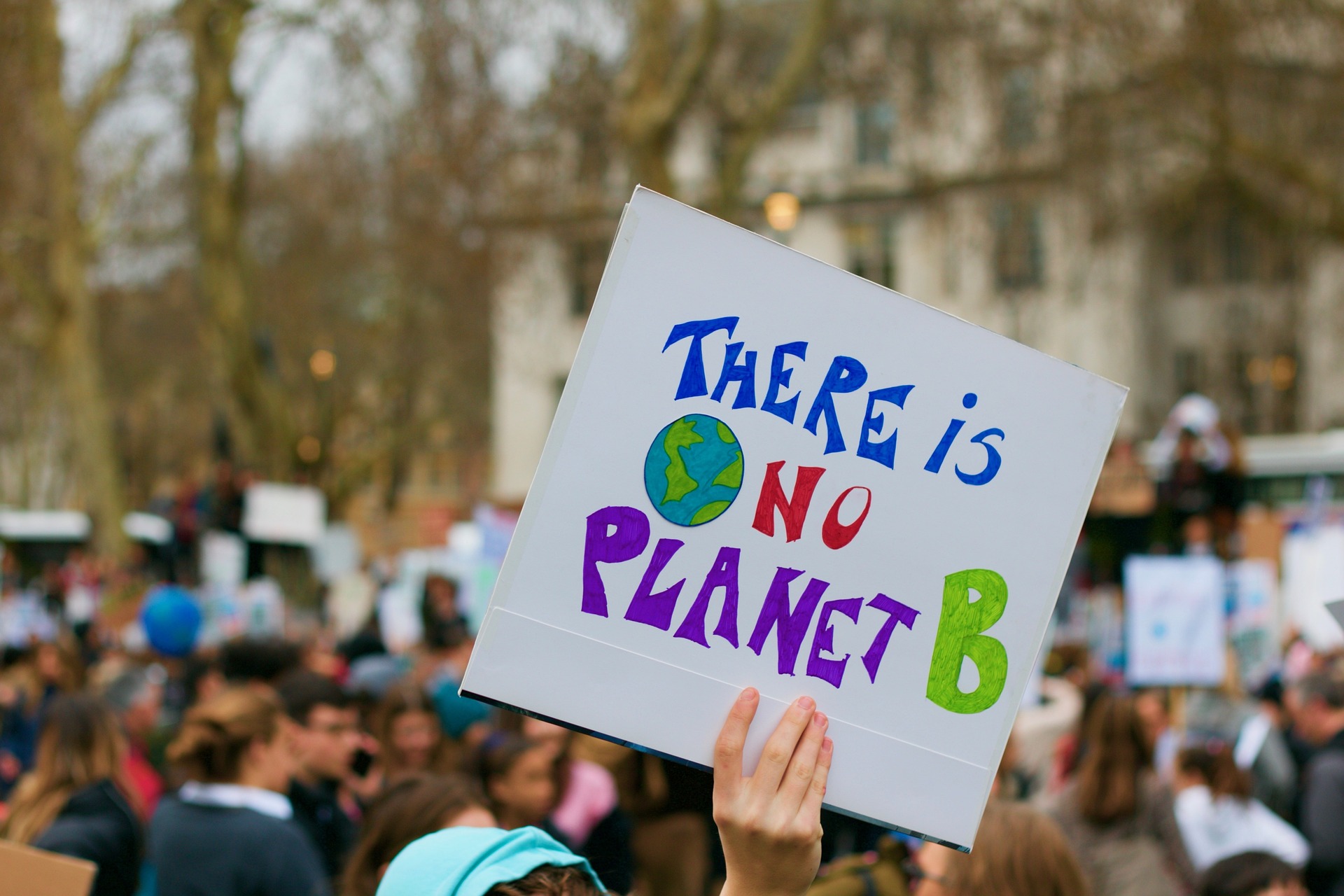 Ausschnitt einer Klimaprotestszene und Protestschild mit der Aufschrift "There is no planet B"