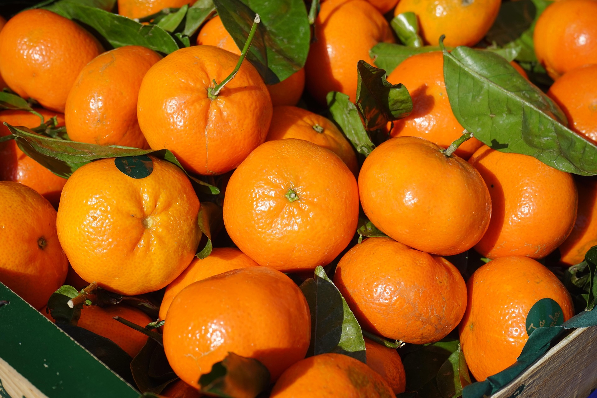 Mythos Clementine: Wie nachhaltig ist die kleine Zitrusfrucht?