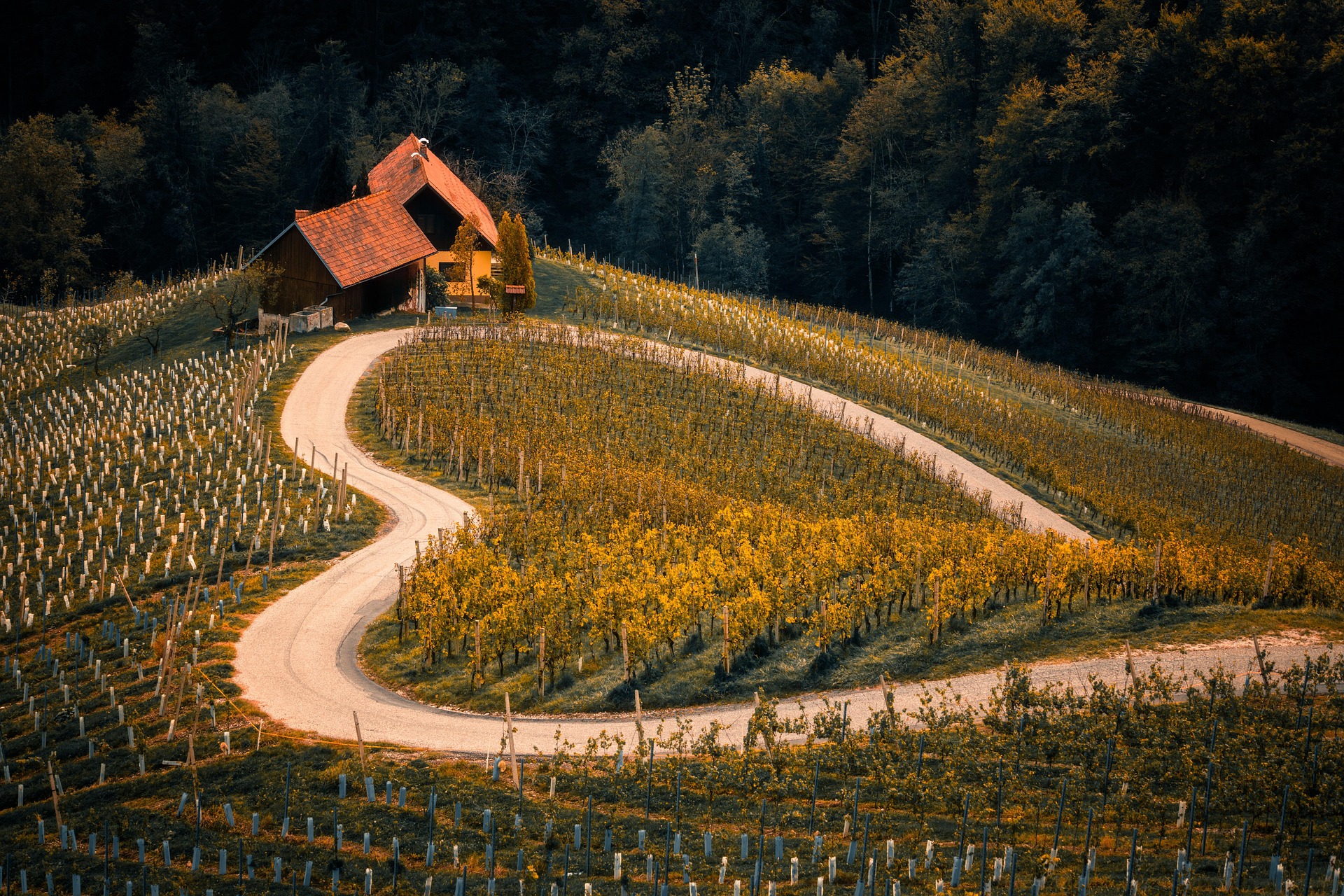 Regenerative Landwirtschaft